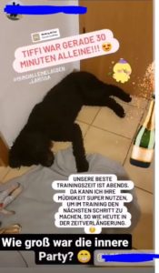 Empfehlung Hund Instagram2