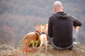 Mann mit zwei Hunden auf einem Berg