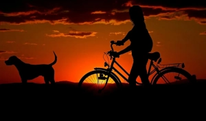 Frau auf dem Fahrrad und Hund beim Sonnenuntergang