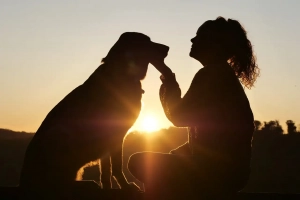 Hund mit Frauchen vor dem Sonnenuntergang