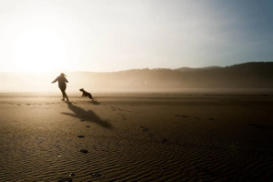 Hund und Mensch toben am Strand