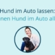 Hund im Auto lassen