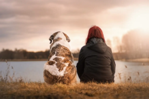 Mensch und Hund sitzen nebeneinander und schauen im Sonnenuntergang auf einen See