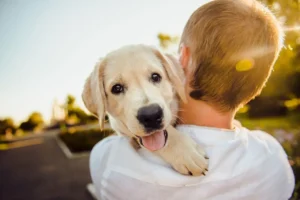 Ein Junge trägt einen Hund auf dem Arm. Der Hund schaut über die Schulter.