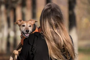 Frau hat Hund auf dem Arm. Hund schaut Frau über die Schulter.