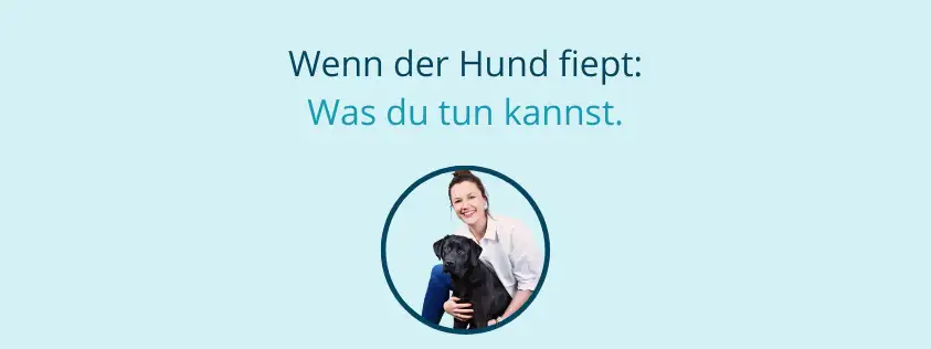 Hund fiept