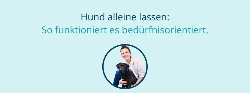 Hund alleine lassen Martin Rütter