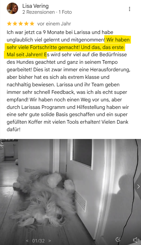 Hund alleine lassen Larissa Dubau