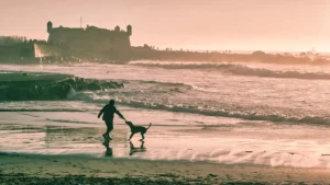 Ein Mensch und ein Hund spielen im Sonnenuntergang am Strand