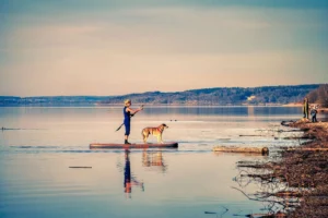 Eine Frau steht mit einem Hund im Sonnenuntergang auf einem SUP