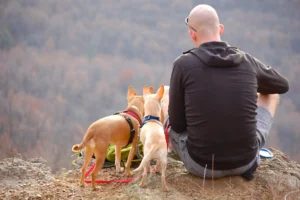 Ein Mann sitzt mit seinen Hunden vor einer Panoramakulisse