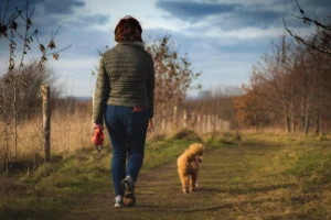 Gassi-Service: Frau geht mit ihrem Hund auf einem Feldweg spazieren