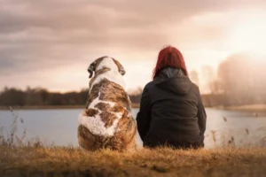 Hundesitter finden: Frau und Hund sitzen zusammen am See